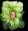 Woman with salal leafes around her head.