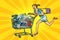 Woman on sale of home appliances. shopping cart shop trolley