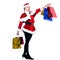 Woman santa claus christmas shopping proud