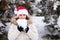 A woman in Santa's hat holds a snowball in her hands in a snow-covered winter forest, a place for text