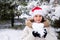 A woman in Santa's hat holds a snowball in her hands in a snow-covered winter forest, a place for text