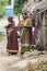 Woman in saree walking on street in Pondicherry, India.