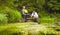 Woman scientist ecologist taking samples of duckweed