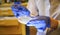 Woman scientist picking up colony of a red bacteria from agar plate  in a molecular biology laboratory