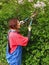 A woman with scissors and the tree lilac