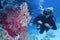 Woman scuba diver admiring beautiful coral reef and sea fan gorgonia coral