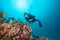 Woman scuba diver exploring sea bottom