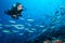 Woman scuba diver exploring sea bottom