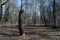 Woman sculpture carved from tree in the sunny forest