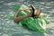 Woman on sea with inflatable mattress. shoes from crocodile leather. female legs hold mattress in swimming pool. Fashion