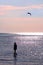 Woman and seagull on sunset