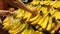 Woman selecting fresh banana in grocery store