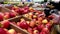 Woman selecting gala apple in grocery store