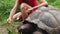 Woman Seychelles Turtle