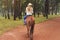 Woman in shirt and straw hat riding brown horse in park, blurred trees in background, view from behind