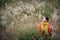 Woman Shooting in Miscanthus Background