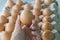 Woman showing brown chicken egg. Fresh eggs