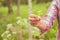 A woman showing an edible plant. Finnish nature offers lots of clean raw food which is ecological, healthy and nutritious,