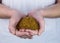 Woman showing handful of milled seed