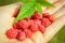 Woman showing raspberries in closeup. Healthy food and raspberry concept