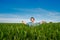 Woman showing thumbs up gesture in green field