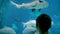 Woman silhouette looking at fish in large public aquarium tank