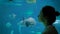 Woman silhouette looking at fish in large public aquarium tank at oceanarium