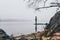 Woman silhouette on the river bank in the morning fog