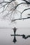 Woman silhouette on the river bank in the morning fog