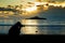 Woman silhouette shooting sea