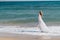 woman silhouette walks along the coast landscape ocean Fresh air