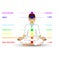 Woman silhouette in yoga pose with chakras