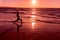 Woman Silhouetted Practicing Yoga on Beach