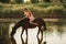Woman sits astride a horse that drinks water on background of water splashes