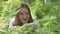 A woman sits in the fern thickets and smiles