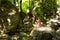 A woman sits in a lotus field on a large rock among the rocks in the open air and meditates, enjoys the unity with nature, listens