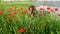 Woman sits near tent on blooming poppy field, admires and sniffs the flowers