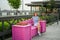 A woman sits on a pink bench with flowers on the Kazan embankment