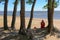 A woman sits on the sand near the sea under the pines