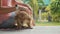 Woman sits and stroking a little puppy on the porch of the house in rainy day