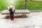 Woman sitting on a bench lamenting with head on knees