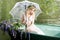 Woman sitting in boat under lace umbrella. Summer