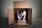 Woman sitting in carton box working on laptop computer