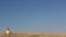 Woman sitting in a field and looks at the sky in sunglasses, sunny weather