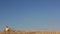 Woman sitting in a field and looks at the sky in sunglasses, sunny weather