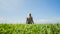 A woman is sitting on perfect shorn grass that goes into a clear blue sky