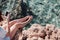 Woman is sitting on stone and shooting on smartphone tropical colorful fish in crystal clear water in Red sea