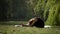 Woman sitting on yoga mat and practicing yoga exercise outdoors in sunny day. Slow motion