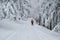 Woman ski tourer travelling in the winter forest