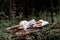 A woman sleeps in the woods on a pillow. Healthy, sound sleep concept. Rest, relaxation in nature